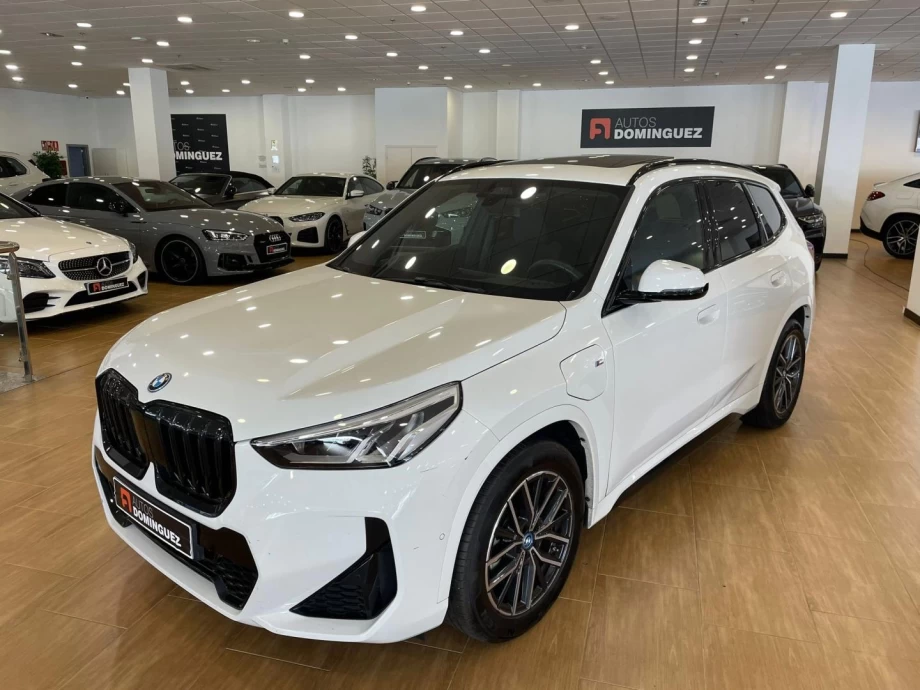 BMW X1 xDrive30e