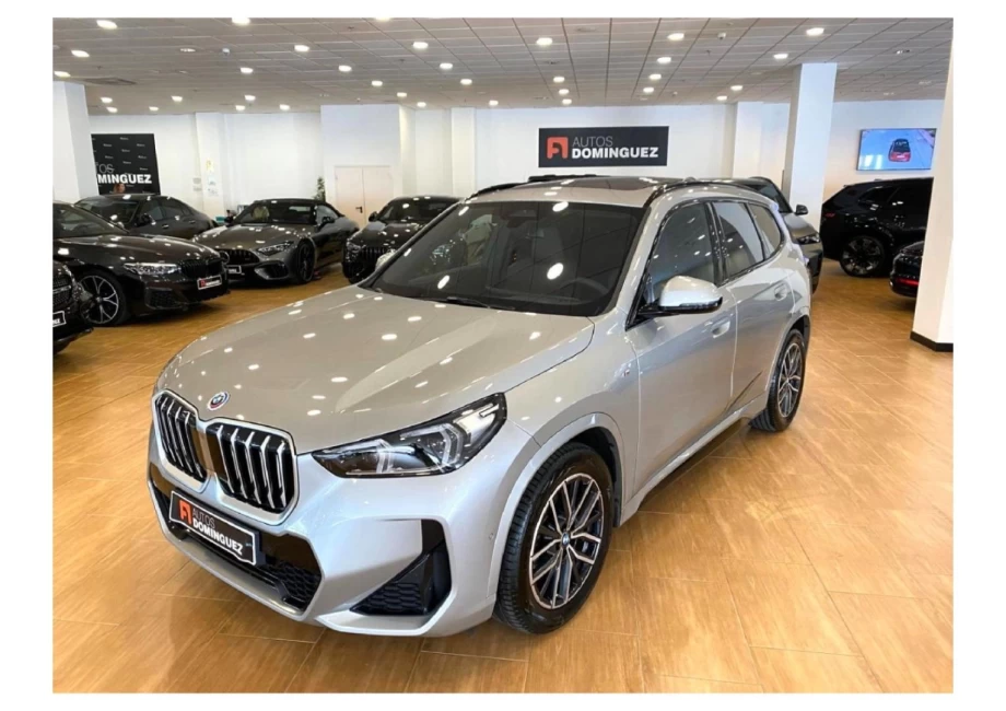 BMW X1 xDrive30e