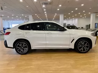 BMW X4 xDrive20d xLine