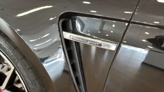 RENAULT Mégane R.S. Trophy TCe 221 kW 300CV EDC GPF
