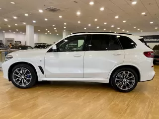 BMW X5 xDRIVE30d PACK M 7 PLAZAS